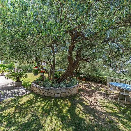 Cozy In With Wifi Appartement *