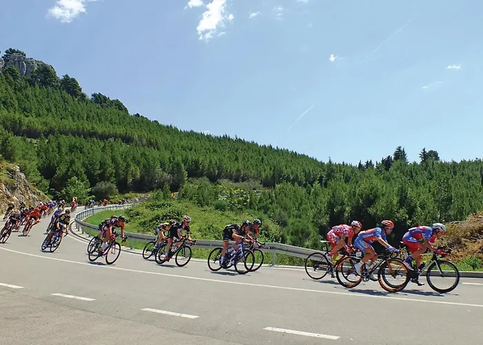 Apartment Cozy In With Wifi *